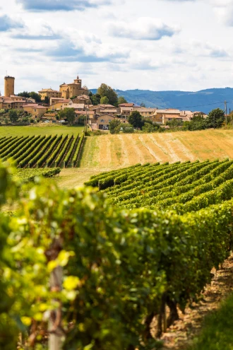 Bourgogne - Beaujolais
