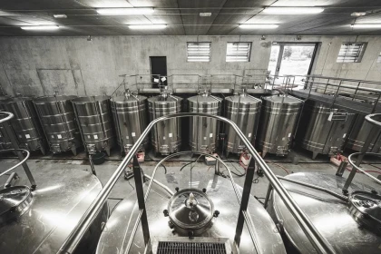 Atelier découverte de la taille - Vignerons Indépendants