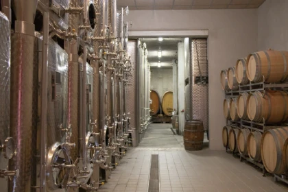 Alsace Wine Experience: Guided Tasting & Cellar Tour - Vignerons Indépendants