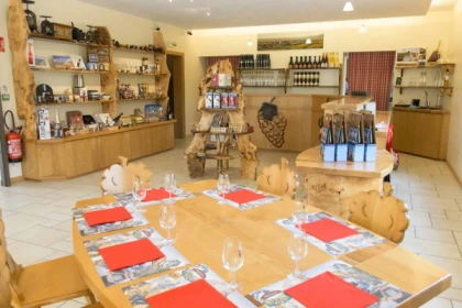 Alsace Wine Experience: Guided Tasting & Cellar Tour - Vignerons Indépendants