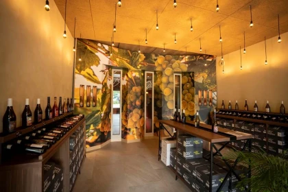 Atelier découverte du domaine - Vignerons Indépendants