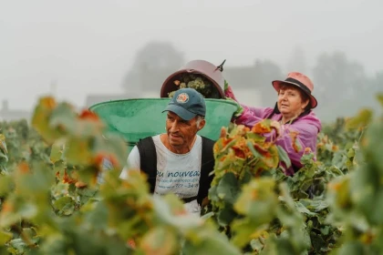 Atelier immersif viticole - Vignerons Indépendants