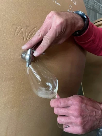 Atelier Oenologie - Vignerons Indépendants