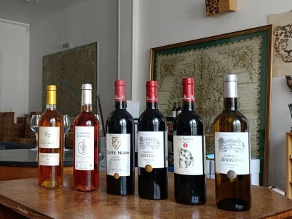 Atelier œnologique et de dégustation - Vignerons Indépendants