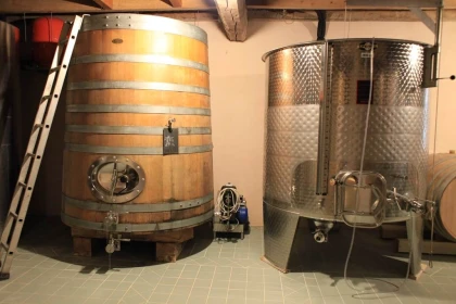 Non-Private Visit - At the Heart of the Estate - Vignerons Indépendants