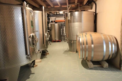 Non-Private Visit - At the Heart of the Estate - Vignerons Indépendants