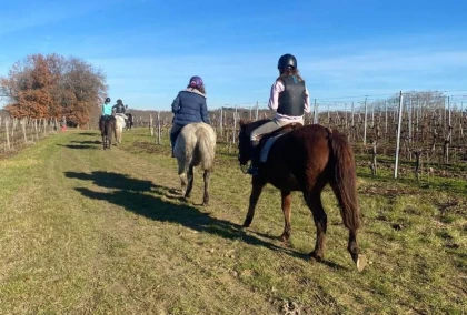 Balade à cheval et dégustation de vins - Vignerons Indépendants