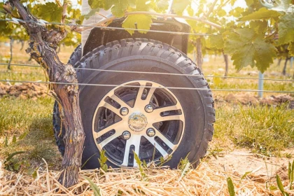Balade en trottinette electrique dans le vignoble - Vignerons Indépendants