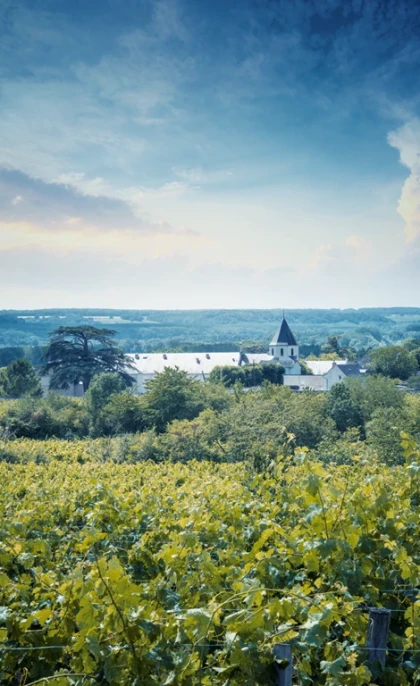 Maisonnette des vignerons chez Pierre & Bertrand Couly - Vignerons Indépendants