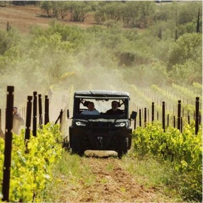 Découverte du vignoble en Buggy - Vignerons Indépendants