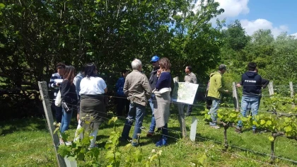 Visite et dégustation - Vignerons Indépendants