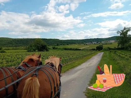 Dégustation champêtre en calèche dans les vignes - Vignerons Indépendants