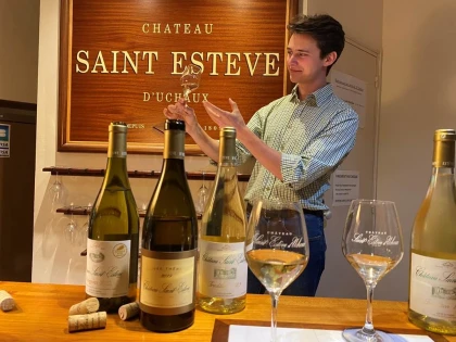 Dégustation & visite : Nos Blancs de Viognier - Vignerons Indépendants