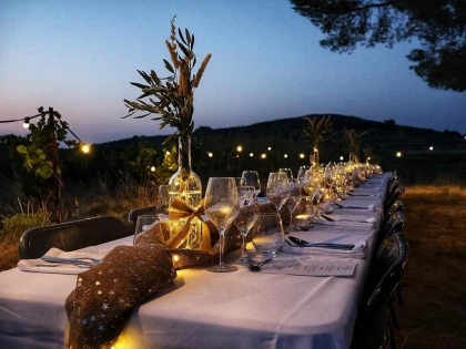 Countryside dinner and moonlit stroll - Vignerons Indépendants