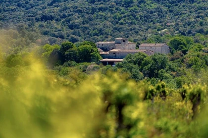 Domaine de Blancardy - Vignerons Indépendants