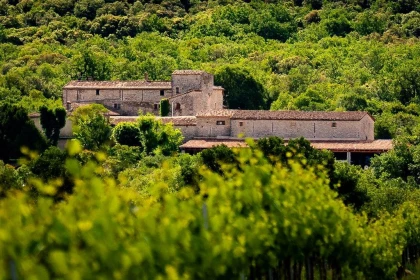 Domaine de Blancardy - Vignerons Indépendants