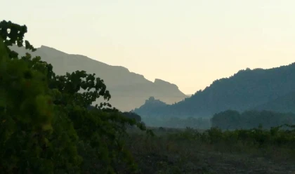 Grand Arc Estate - Vignerons Indépendants