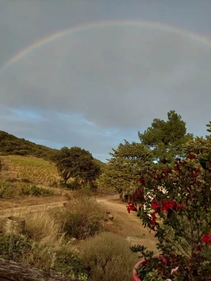 Grand Arc Estate - Vignerons Indépendants