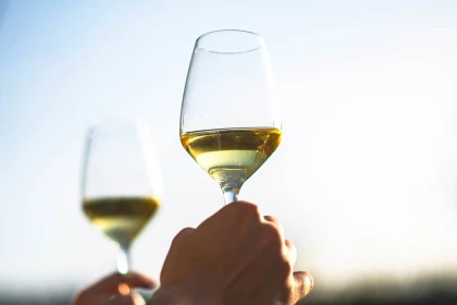 Formation "Le nez du vin" - Vignerons Indépendants