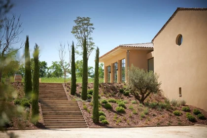 From the Vine to the Glass - Vignerons Indépendants