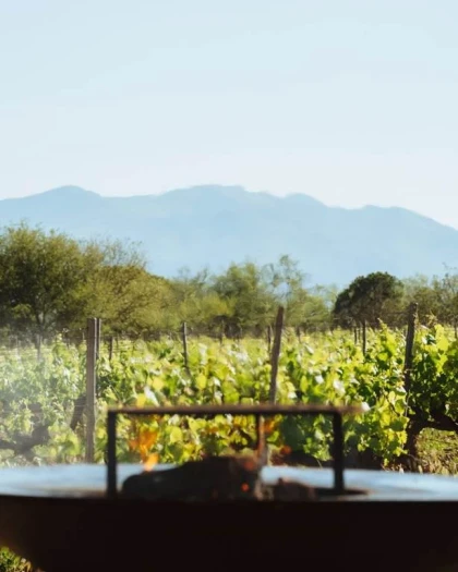 Garden Party - Vignerons Indépendants