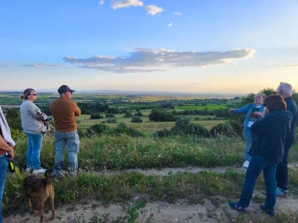 Golden Hour au Domaine (stroll through the vineyards, visit and tasting) - Vignerons Indépendants