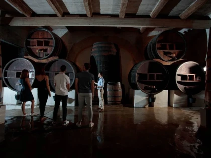 L'escapade Viti-oeno (visit and tasting) - Vignerons Indépendants