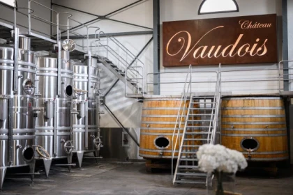 La visite - app.name