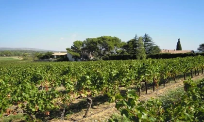  - Vignerons Indépendants