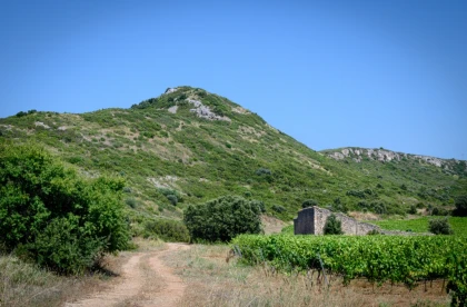 Parcours "Le Pied Vigneron" et Visite du Domaine - Vignerons Indépendants