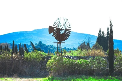 Pique-nique dans les vignes - Vignerons Indépendants