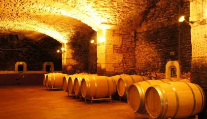 Pique-nique du Vigneron Indépendant - Vignerons Indépendants