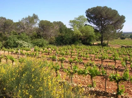 Pique-nique du Vigneron Indépendant - Vignerons Indépendants