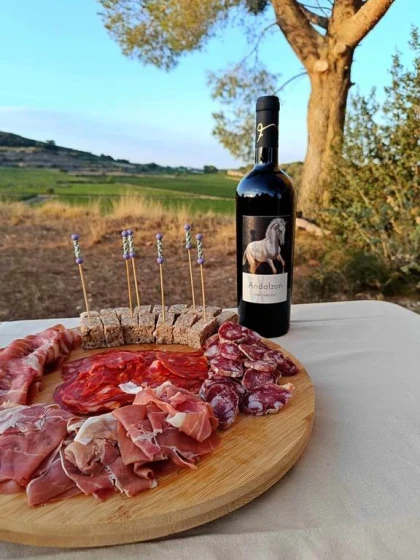 Portes Ouvertes - app.name