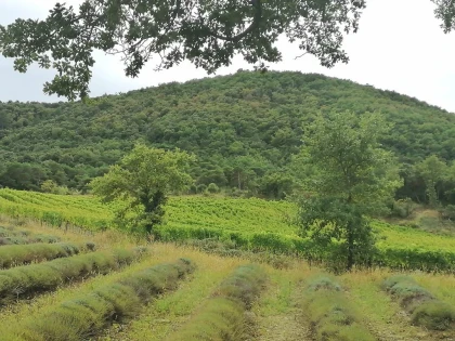 Randonnée ludique familiale - Vignerons Indépendants