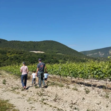 Randonnée ludique familiale - Vignerons Indépendants