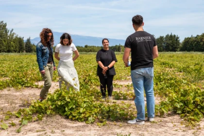 Safari Viticole en Land Rover - app.name