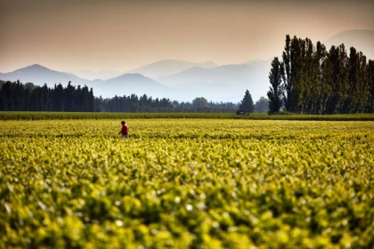 Land Rover Wine Safari - Vignerons Indépendants
