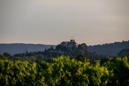 Secrets of the Vines - Vignerons Indépendants