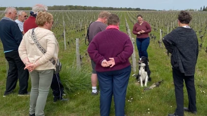 Sur les pas du vigneron - Vignerons Indépendants