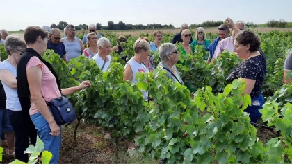 Sur les pas du vigneron - Vignerons Indépendants