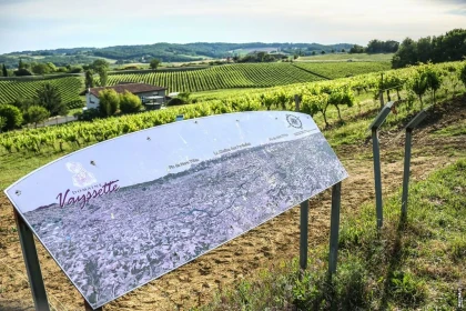 LES JEUDI DE L ETE AU DOMAINE : UN VOYAGE EN 3 ETAPES - Vignerons Indépendants