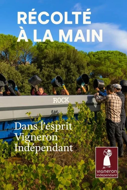 Traditional grape harvest with meal - Vignerons Indépendants