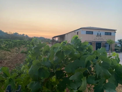 Vignes , Pétanque et Chansons ! - Vignerons Indépendants