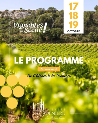 Vignobles en Scène - soirée concert - Vignerons Indépendants