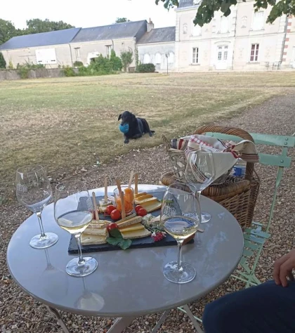 Wine & Cheese Tasting - Vignerons Indépendants