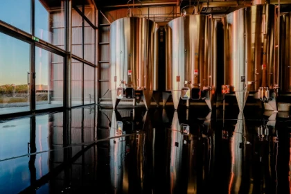 Wine and cheese tasting at Château Lauduc - Vignerons Indépendants