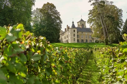 Visite au cœur du Clos familial de Boursault et dégustation de 3 cuvées en français - Vignerons Indépendants