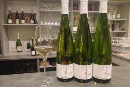 Traditional visit & wine tasting - 5 grape varieties - Vignerons Indépendants