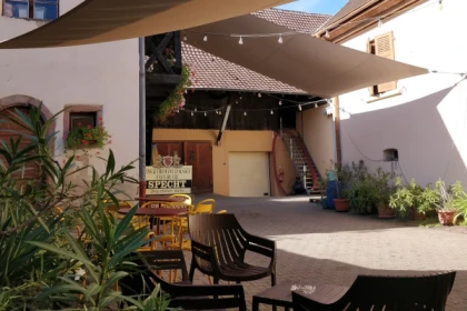 Traditional visit & wine tasting - 5 grape varieties - Vignerons Indépendants